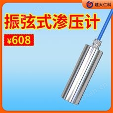RS-ZX/ZXT-SYJ振弦式渗压计