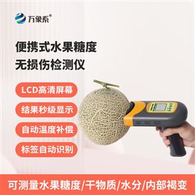 WX-TD4水果无损糖度计