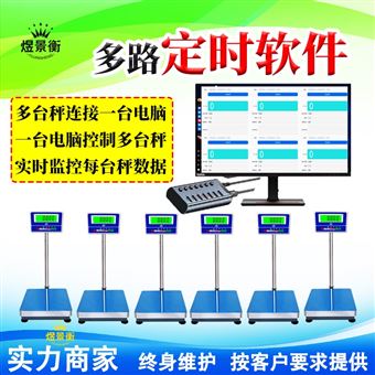 YJH-T电子秤RS232串口电脑实时采集数据曲线图