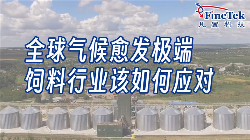 破解飼料生產痛點：如何為企業降本、提質、增效？