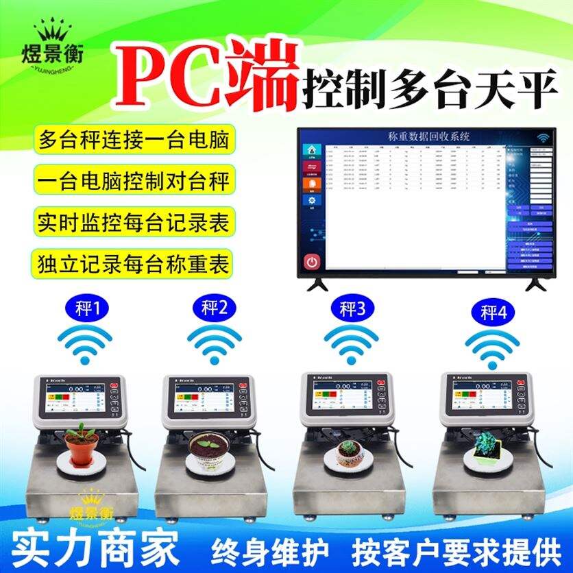 0.01g�����䷽������ƽ����ɨ�����ϵͳ������Ƶ