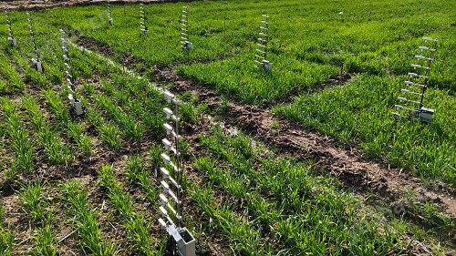 639089991940095867848.png 冠層微氣候測量儀——CM-120