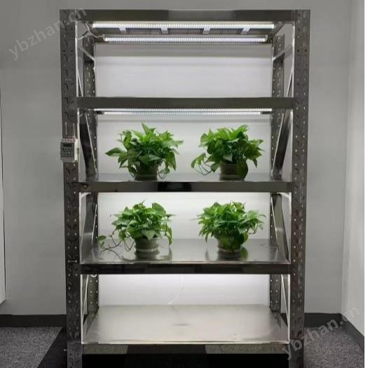 植物組培室