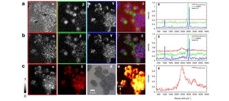 长春光机所在傅里叶光子计数时间门控拉曼技术研究取得新进展