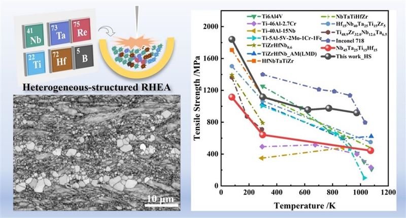 西安交大科研团队在跨温域难熔高熵合金领域取得新进展