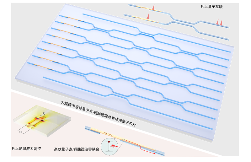 Ϻ΢ϵͳڴģʼɹоƬȡýչ