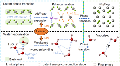 南科大林君浩课题组在二维材料PdSe2相变机制研究方面取得重要进展