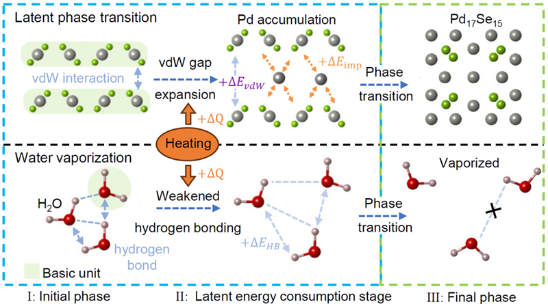 南科大林君浩课题组在二维材料PdSe2相变机制研究方面取得重要进展
