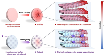 中国科学院大学材料学院教授肖小玲团队在高比能二次电池领域取得系列进展