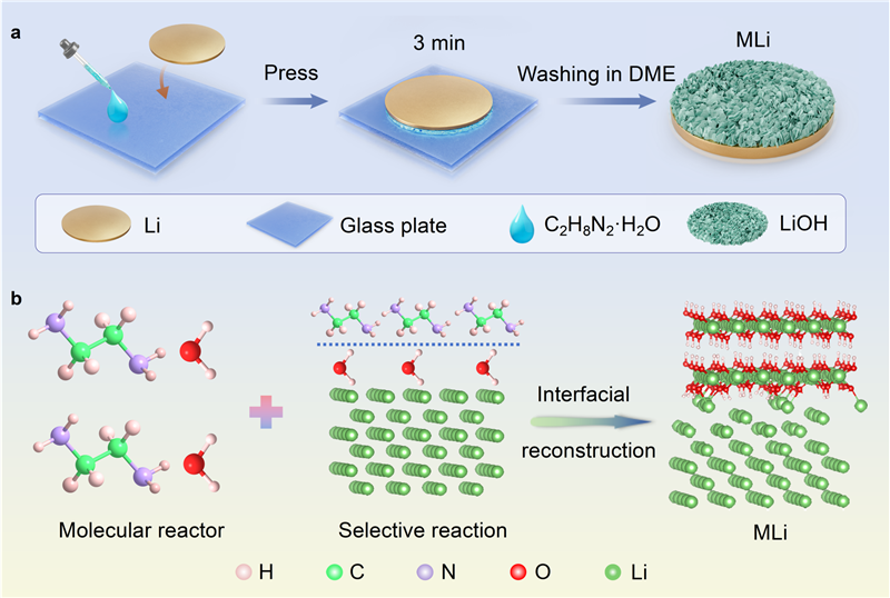 合肥工业大学在新能源锂硫电池研究领域取得新进展