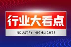 �ҹ�ǣͷ�ƶ��ĵ���ͨ�Ŵ���Ԫ�����IEC/IEEE˫��־���ʱ�׼����