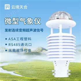 集成式微型传感器
