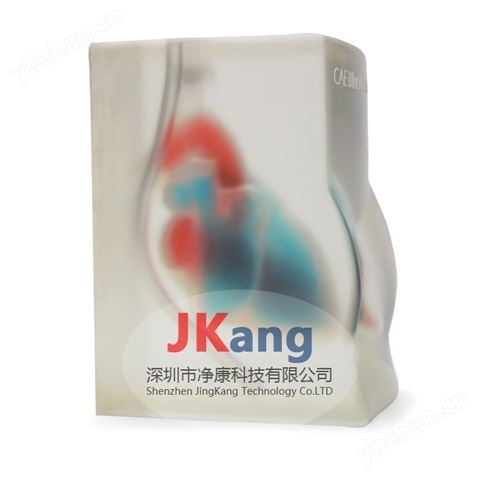 CAE BPH700心臟超聲訓(xùn)練模體