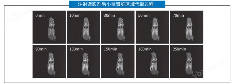 國產(chǎn)小動物核磁共振成像分析儀