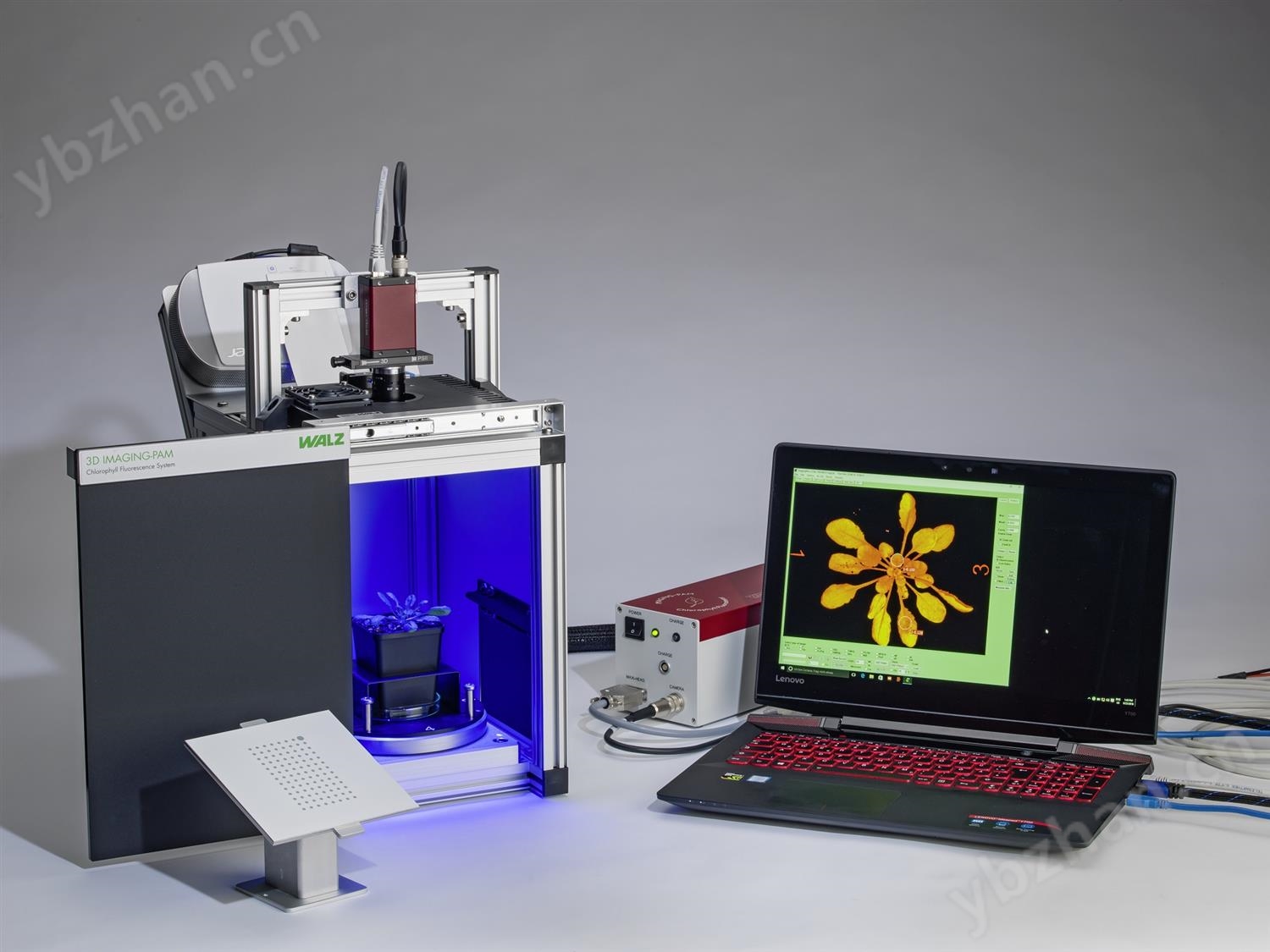 3D-IMAGING-PAM_017 small.jpg