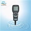 Y600-A多功能手持仪表