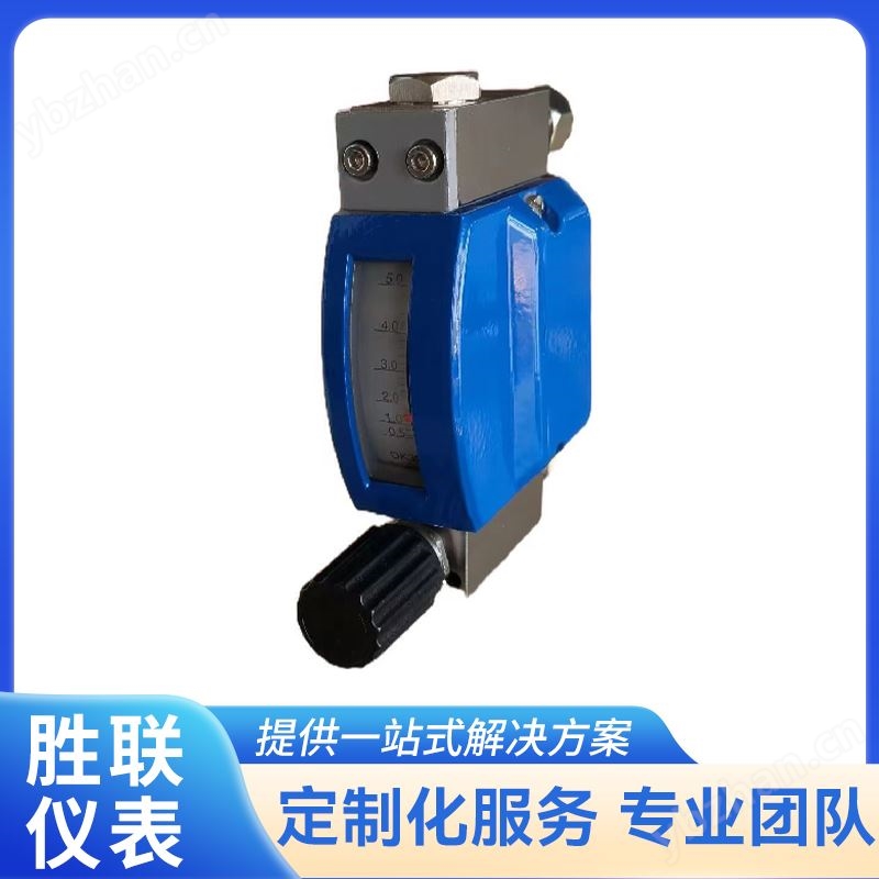 防腐微小金属管浮子流量计