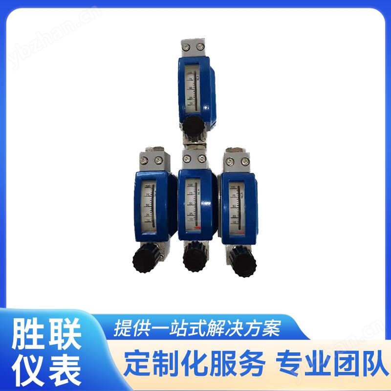 防腐微小金属管浮子流量计