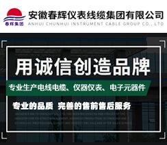 安徽春辉仪表线缆集团有限公司