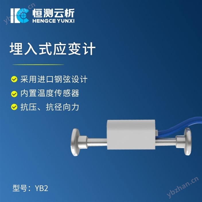 埋入式應(yīng)變計