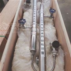 汽包高压电容式液位计