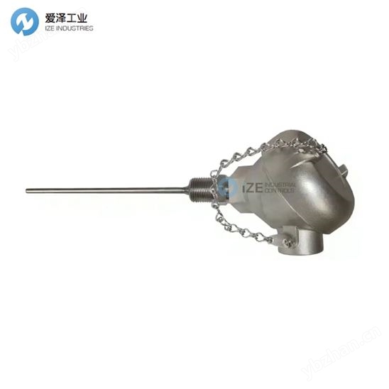 BLAZE熱電偶IND4612KKG-36