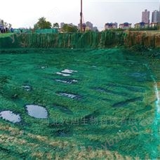 新疆哈密环保结壳剂厂家报价