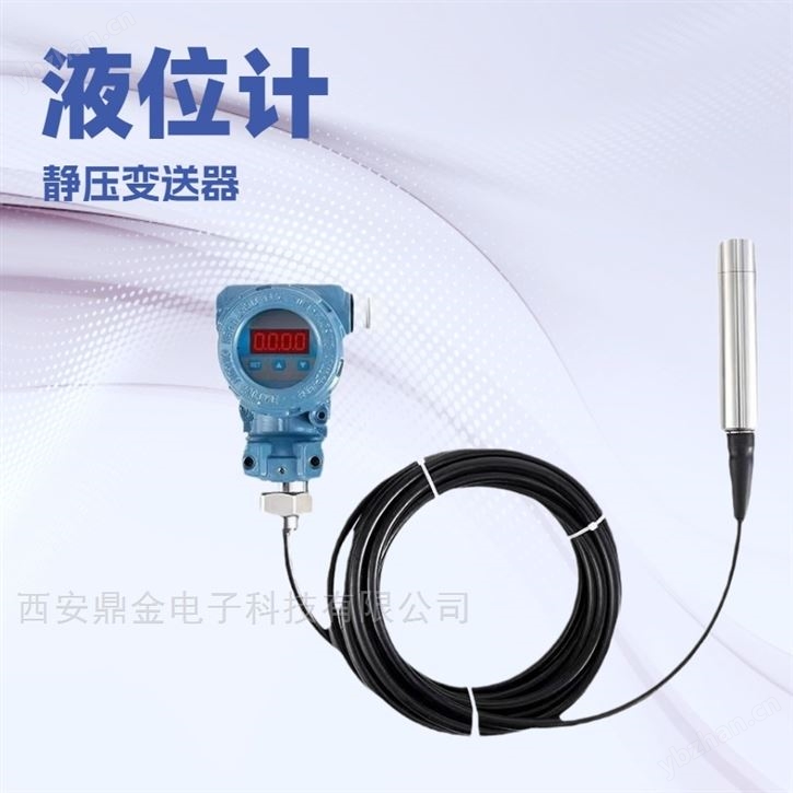 投入式带显示分体液位计