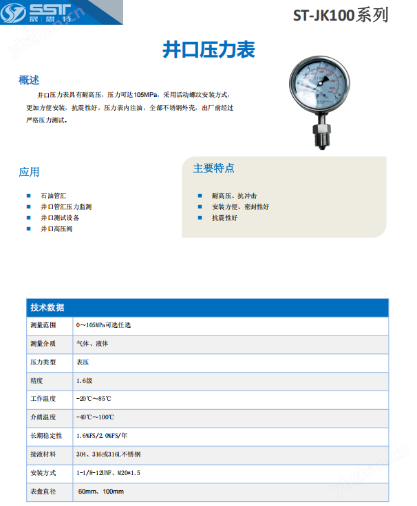 晟思特井口压力表ST-JK100系列