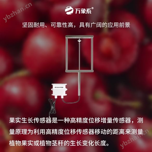 果實生長傳感器