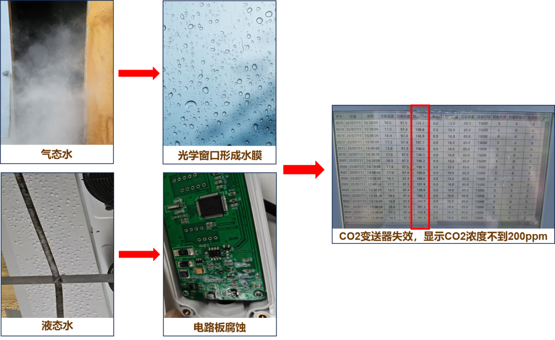 四方光電抗高濕紅外CO?變送器，讓菌菇房CO?監(jiān)測不再“濕”敗