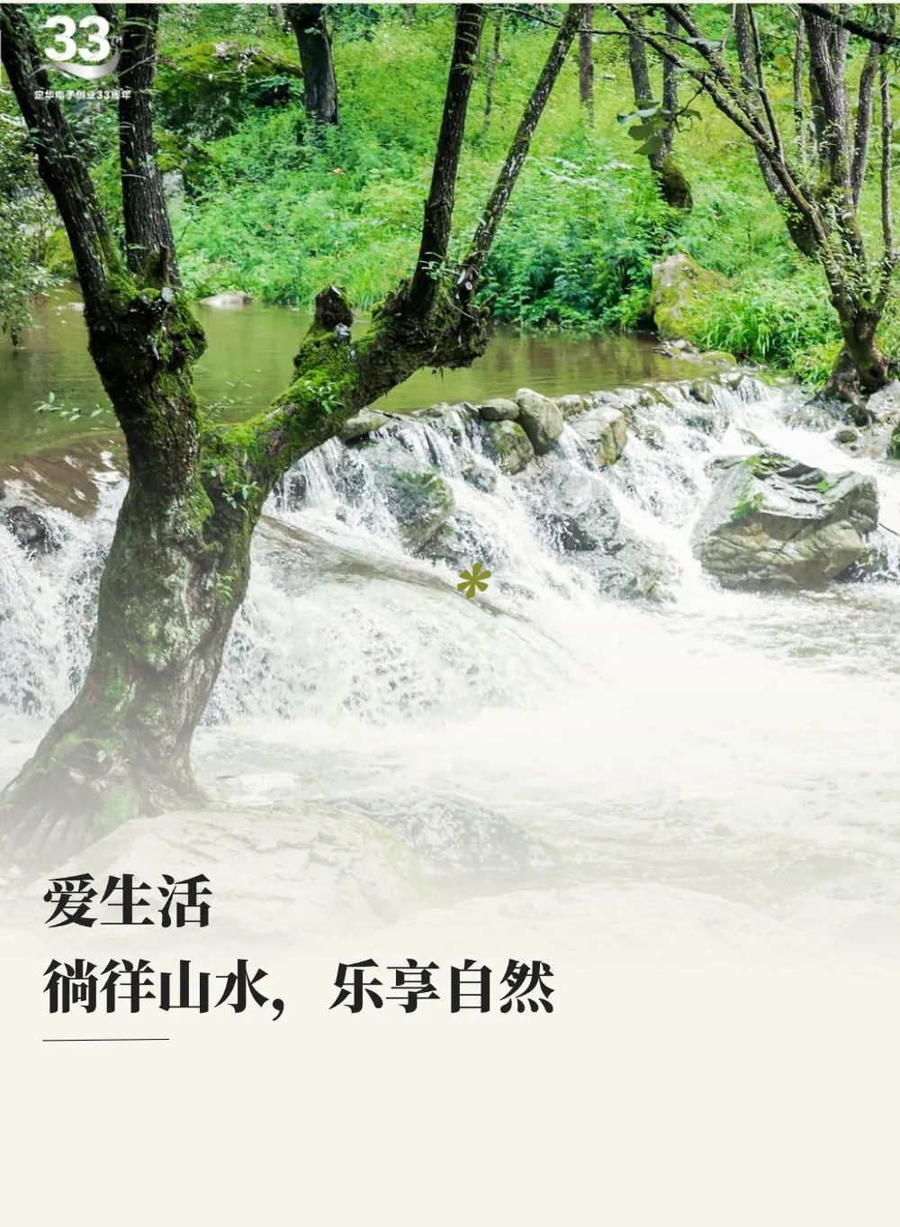 定华电子创业33年 | 携手勇攀秦岭·牛背梁，齐心共赴辉煌路