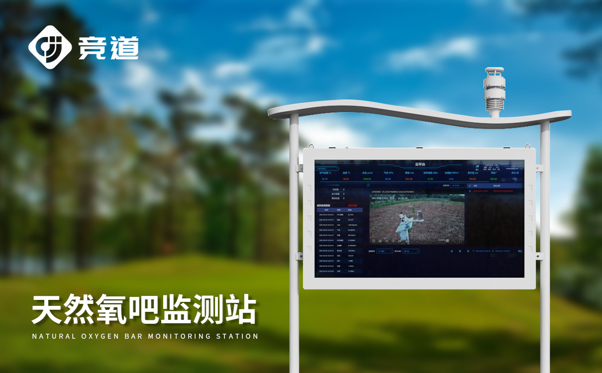 国产大气负氧离子检测站 国产大气负氧离子检测站