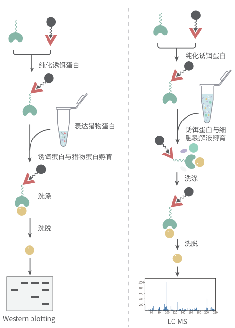 图1.png
