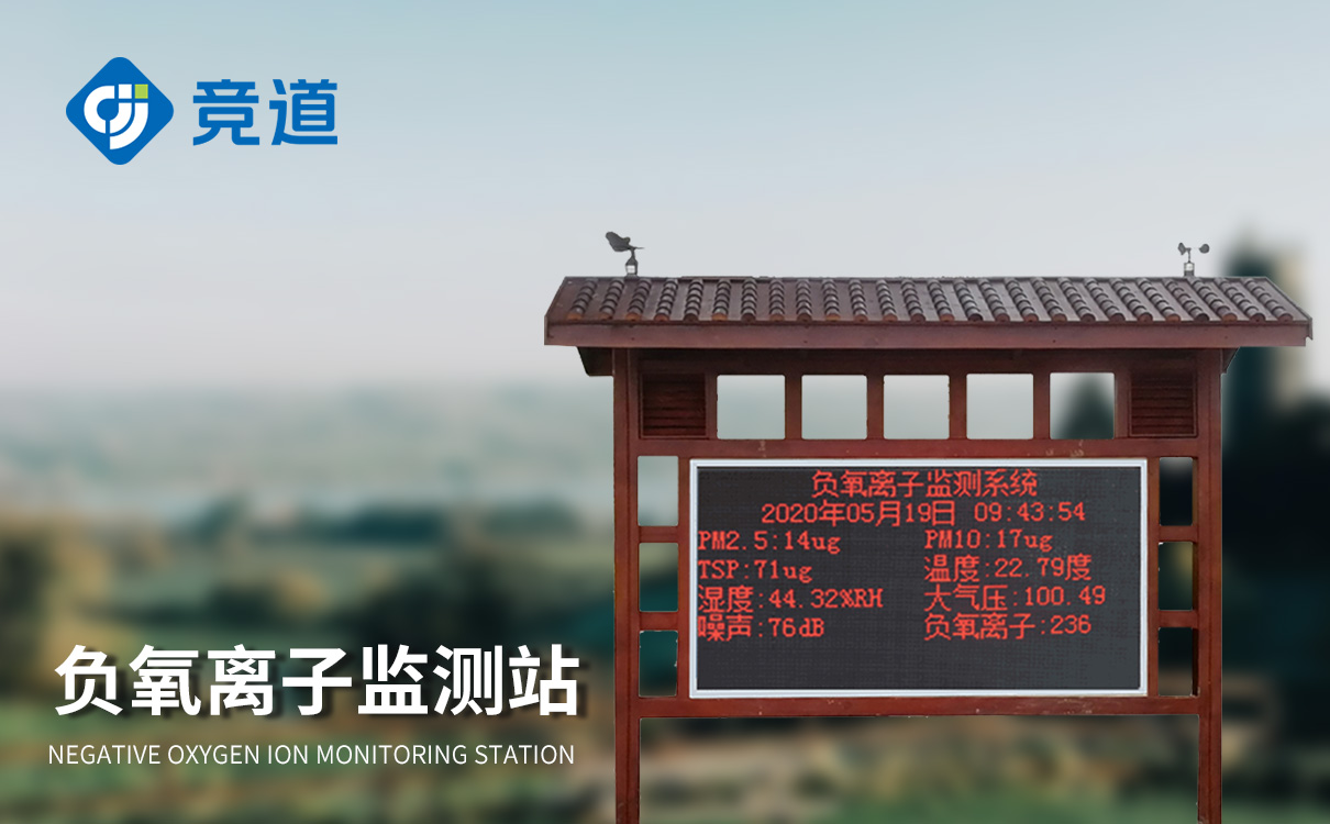 负氧离子检测系统