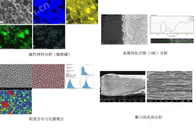 国产扫描显微电镜