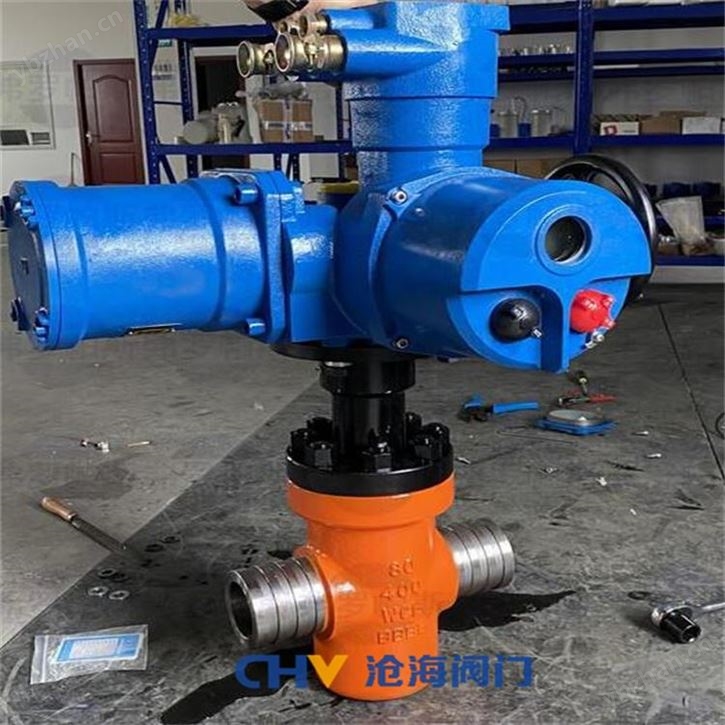 CHVJ滄海S19CZF-133-20Mpa超高壓平板閘閥