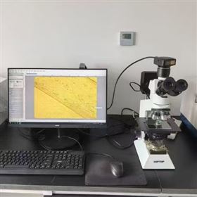 金相顯微鏡測量套裝